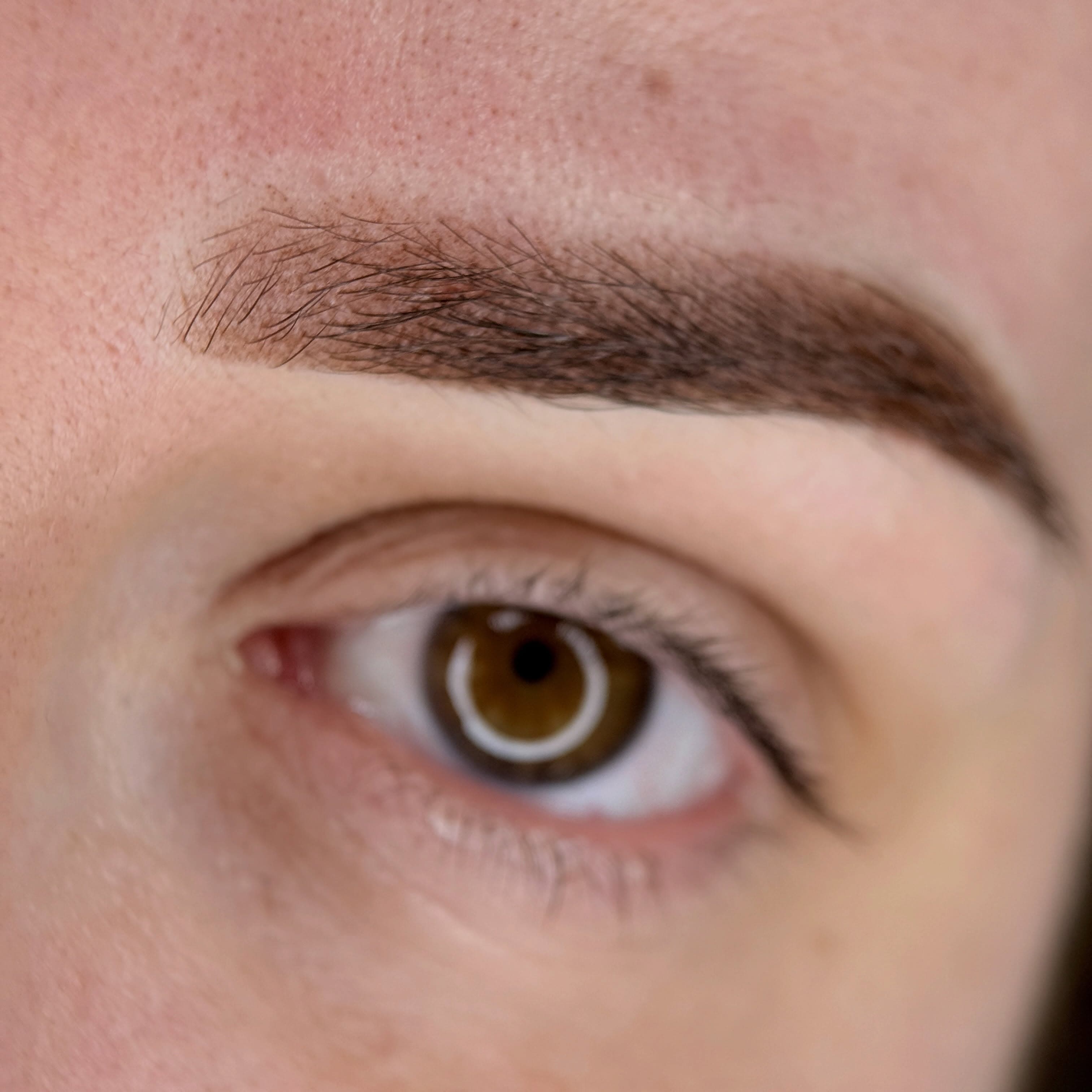 Powder Brows — Jey Brows
